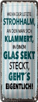 Blechschild Spruch Wenn der letzte Strohhalman 10x27 cm Deko Schild tin sign