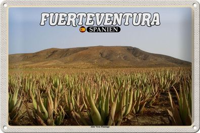 Blechschild Reise 30x20 cm Fuerteventura Spanien Aloe Vera Plantage tin sign