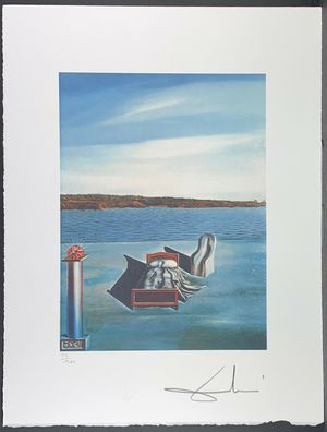 Salvador DALI * Surrealist Composition * 50 x 60 cm * signed lithograph * limited