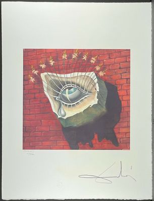 Salvador DALI * The Flowering Eye * 50x60 cm * signed lithograph * limited