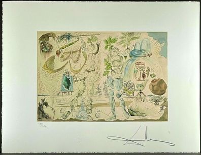 Salvador DALI * Vision of the Atomic Age* 50 x 65 cm * signed lithograph * limited