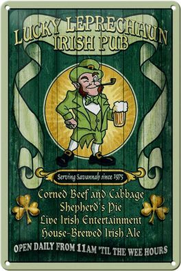 Blechschild Bier 20x30 cm Irish Pub open daily from 11am Deko Schild tin sign