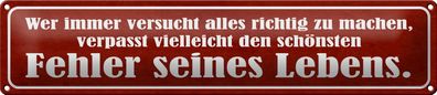 Blechschild Spruch 46x10 cm Schönster Fehler seines Lebens Deko Schild tin sign