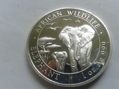 100 Schillings 2015 Somalia Elephant Elefant 1 Unze 31,1g 999er Silber Afrika