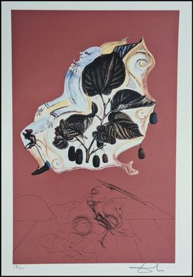 Salvador DALI * Blackberries * 50 x 35 cm * signed lithograph * limited # 28/350