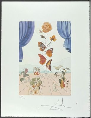 Salvador DALI * The Butterfly Rose * 50 x 65 cm * signed lithograph * limited