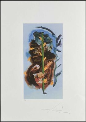 Salvador DALI * Tarot * 70 x 50 cm * signed lithograph * limited # 28/78