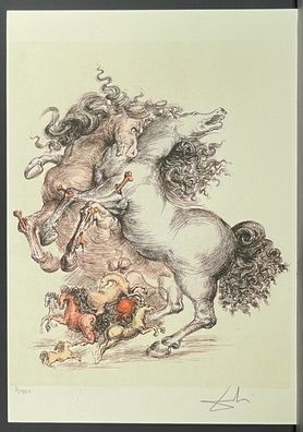 Salvador DALI * Horses * 50 x 35 cm * signed lithograph * limited # 81/350
