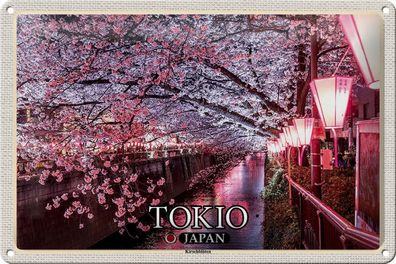 Blechschild Reise 30x20 cm Tokio Japan Kirschblüten Bäume Fluss Deko tin sign