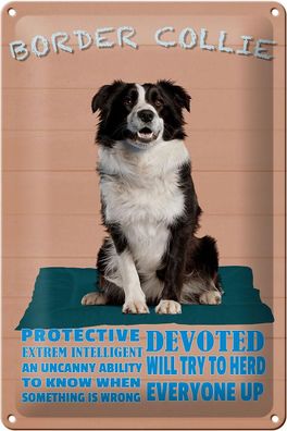 Blechschild Spruch 20x30 cm Border Collie Hund protective Deko Schild tin sign