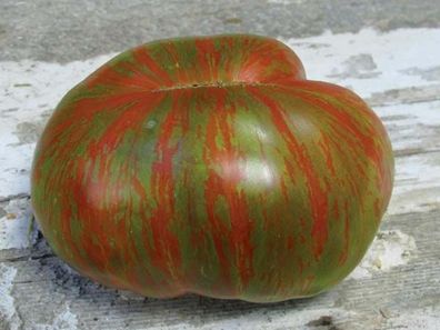 Large Barred Boar Tomate - Tomato 5+ Samen - Saatgut - Seeds - Gemüsesamen P 291