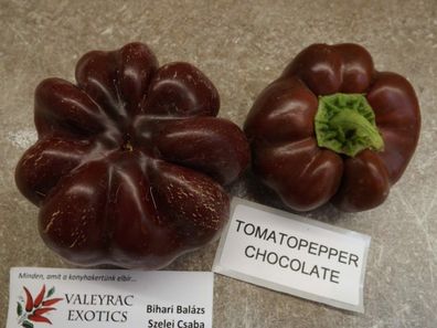 Chocolate Tomatenpaprika 5+ Samen - Saatgut - Seeds - Gemüsesamen Ca 047