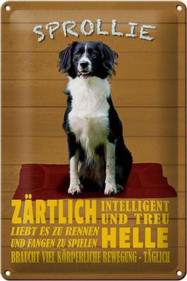 Blechschild Spruch HBlechschild Spruch 20x30 cm Sprollie Hund zärtlich und treu