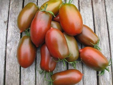 Tomate Black Icicle 5+ Samen - Seeds - Graines - SÜß und Perfekt! P 049