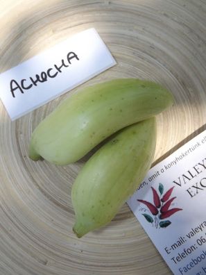Achocha - Inkagurke Cyclanthera pedata - 5+ Spannende RARITäT! Cu 007