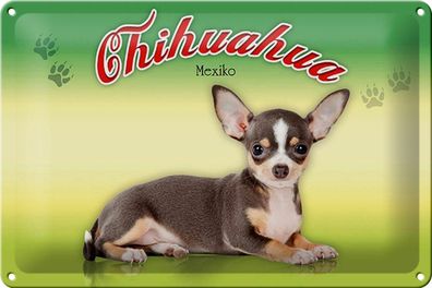 Blechschild Hund 30x20cm Chihuahua Mexiko Metall Wanddeko Deko Schild tin sign