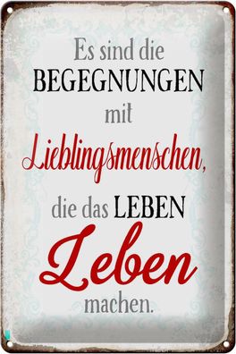 Blechschild Spruch 20x30 cm Begegnungen Lieblingsmenschen Deko Schild tin sign