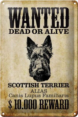 Blechschild Hund 20x30 cm wanted Scottish Terrier Metal Deko Schild tin sign