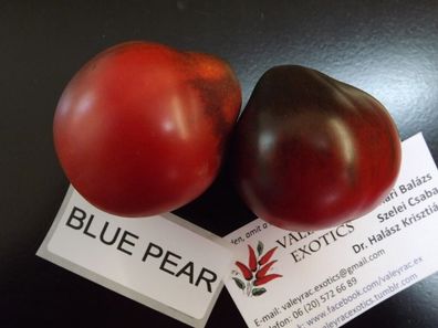 Blaue Birne - Blue Pear Tomate - Tomato 5+ Samen - Saatgut - Seeds P 269