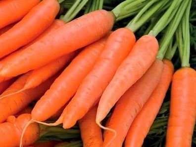 Nantes Möhre Karotte Carrot - 25+ Samen - Saatgut FEIN und Knackig! R 020