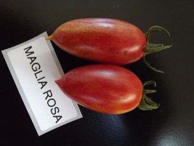 Maglia Rosa Tomate - Tomato 5+ Samen - Saatgut - Seeds - Gemüsesamen P 312