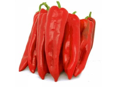 Corno di Toro Rosso Paprika 5+ Samen - Saatgut - Seeds - Graines Ca 056