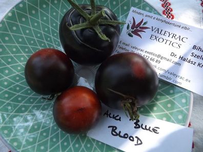 Alki Blue Blood Tomate - Tomato 5+ Samen - Saatgut - Seeds - Gemüsesamen P 199