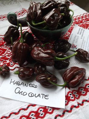 Chocolate Habanero Chili - 5+ Samen - Seeds Graines Exotisch und SCHARF! Ch 015