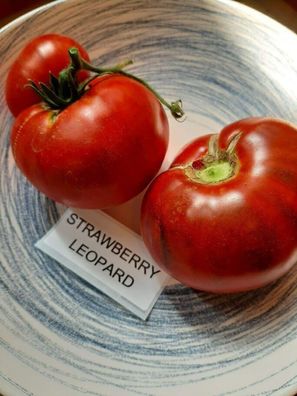 Tomate Strawberry Leopard Tomato 5+ Samen - Seeds - Graines - Saatgut P 349