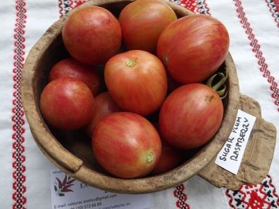 Sugar Plum Raspberry Tomate - Tomato 5+ Samen - Saatgut - Seeds P 237