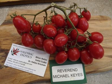 Reverend Michael Keyes Tomate - Tomato 20+ Samen - Saatgut - Seeds P 305