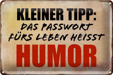 Blechschild Spruch 30x20 cm kleiner Tipp das Passwort Humor Deko Schild tin sign