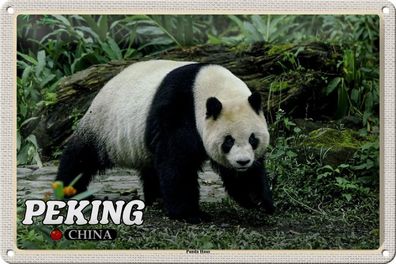 Blechschild Reise 30x20 cm Peking China Panda Haus Geschenk Schild tin sign