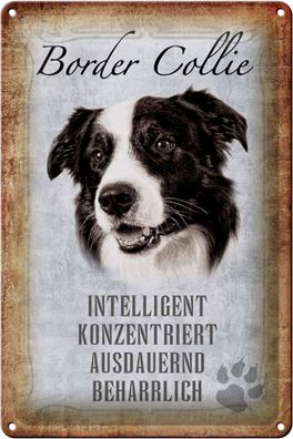 Blechschild Spruch 20x30 cm Border Collie Hund Geschenk Deko Schild tin sign