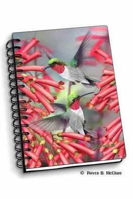 3D Notizbuch Kolibris