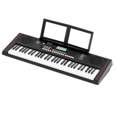 Roland EX-10 61-Tasten Arranger Keyboard