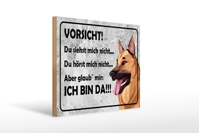 Holzschild Spruch 40 x 30 cm Vorsicht Hund siehst mich nicht Schild wooden sign