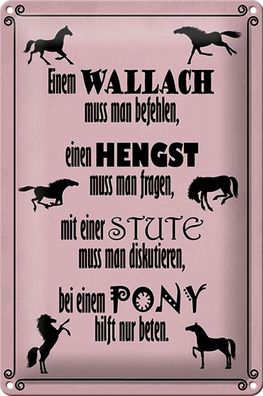 Blechschild Spruch 20x30 cm Pferde Wallah Hengst Pony Stute Deko Schild tin sign