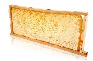 Bio Honigwabe mit Akazien-Honig, 2,2 kg, im traditionellen Holzrähmchen