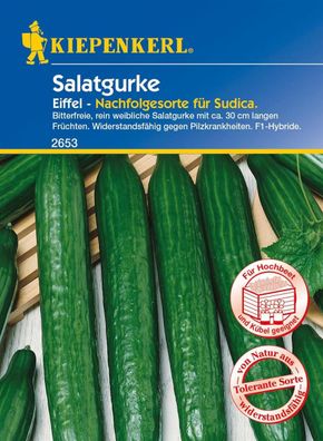 Salatgurke ''Eiffel F1'' - Nachfolgesorte für Sudica