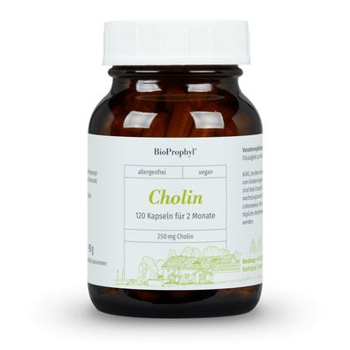 BioProphyl® Cholin | 250 mg Cholin aus VitaCholine® | 120 Kapseln hochdosiert