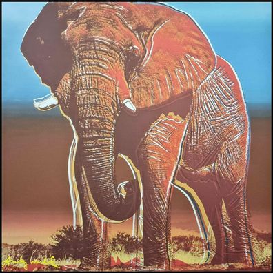 ANDY WARHOL * Elephant * lithograph * limited # xx/2400 CMOA signed