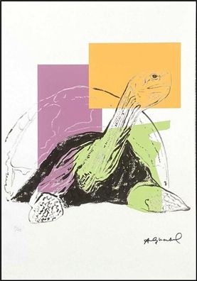 ANDY WARHOL * Turtle * signed lithograph * limited # 51/125 (Gr. 50 cm x 35 cm)