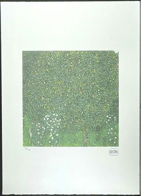 GUSTAV KLIMT * 50 x 70 cm * signed lithograph * limited # 36/200