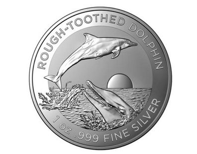 Silbermünze Rauzahndelfin 2023 1oz Dolphin Rough-Toothed Australien 5. Ausgabe