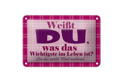 Blechschild Spruch 18x12cm Wichtigste bist DU Metall Deko Schild