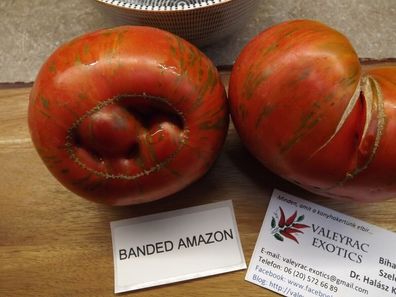 Banded Amazon Tomate - Tomato 10+ Samen - Saatgut - Seeds - Gemüsesamen P 315