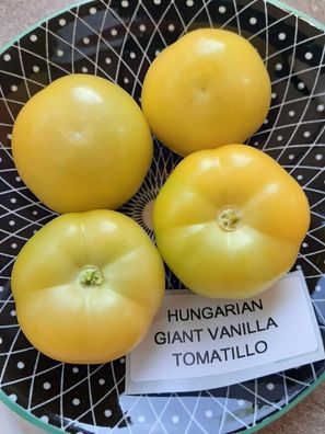 Tomatillo Ungarische Riesige Vanille - Hungarian Giant Vanilla 40+ Samen So 069