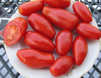 Krasniy Klik Tomate - 5+ Samen - Saatgut - Ertragreiche RARITäT! P 088