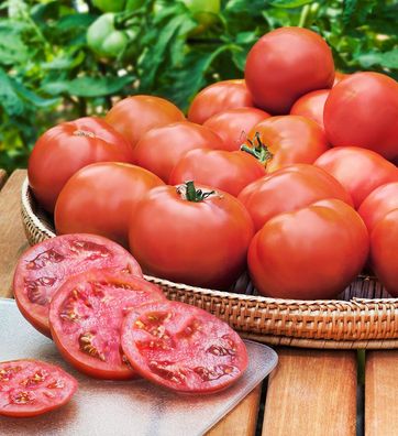 Tomate Heinz - Ketchuptomate - 5+ Samen - Saatgut - SAFTIG und FEIN! P 186